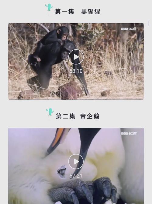 光棍影院在线观看观看 - 最新免费高清电影电视剧资源，极速播放无广告体验