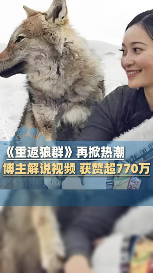 9D影院震撼体验：沉浸式动感座椅与5D/7D/9D虚拟现实游戏设备推荐