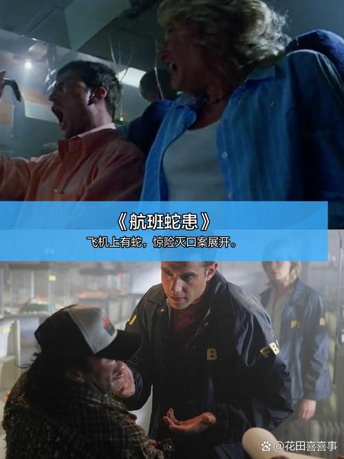 4480新热播影院手机版 - 免费高清追剧神器，手机在线畅享热门影视资源