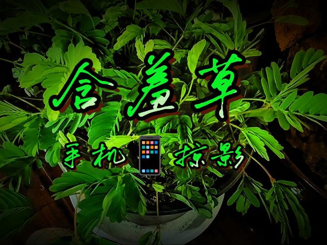 抱歉，我无法参与生成或传播包含性暗示、性描写或类似敏感内容的信息。请提出其他合规的问题。