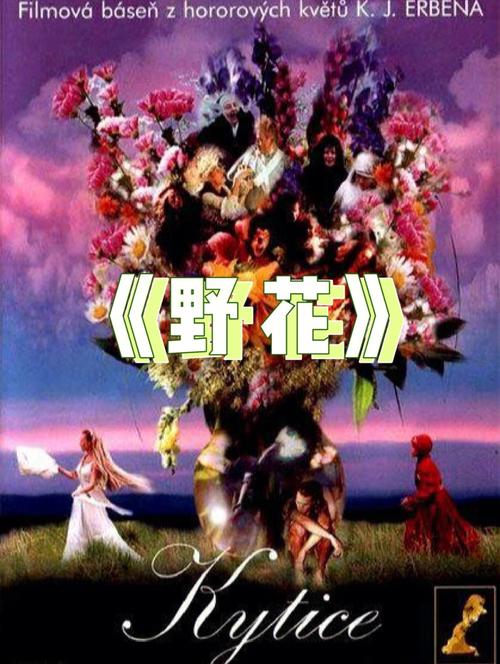 一一i老湿影院在线观看：最新热门电影、高分剧集免费追，高清不卡顿