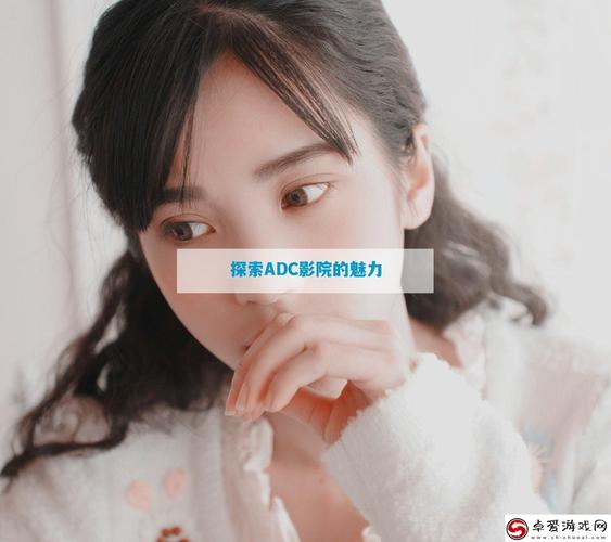 私人艺术影院观影指南 | 小众片单推荐 | 独立电影放映