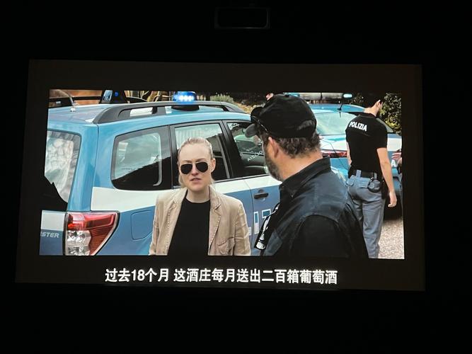 日韩影院成人黄的相关介绍