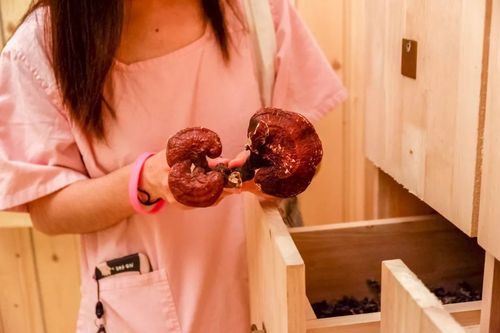 神马影院GG最新地址发布页｜2024稳定入口防丢失，高清影视资源免费在线观看