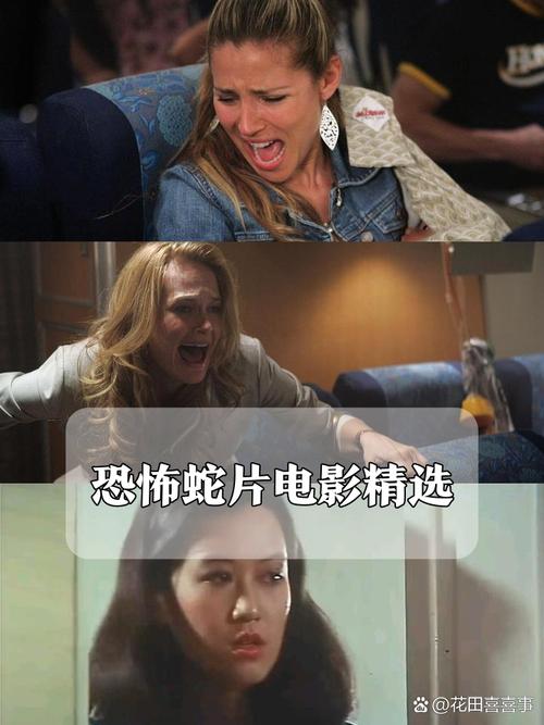 星光影院网在线观看的相关介绍