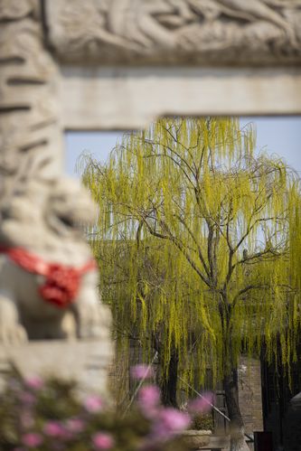女人私密免费看的相关介绍
