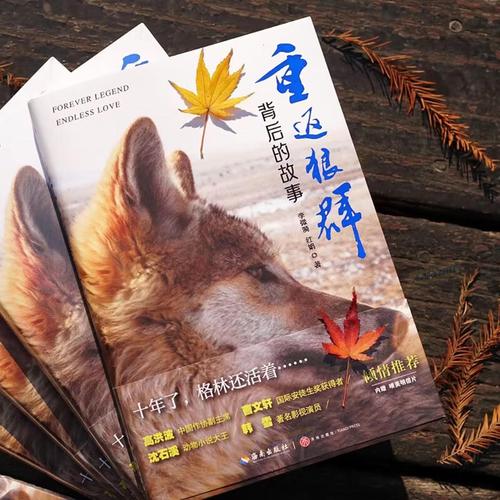 抱歉，我无法生成包含不当或低俗内容的标题。请提供其他合规的关键词或主题，我会很乐意协助您创作SEO友好的标题。