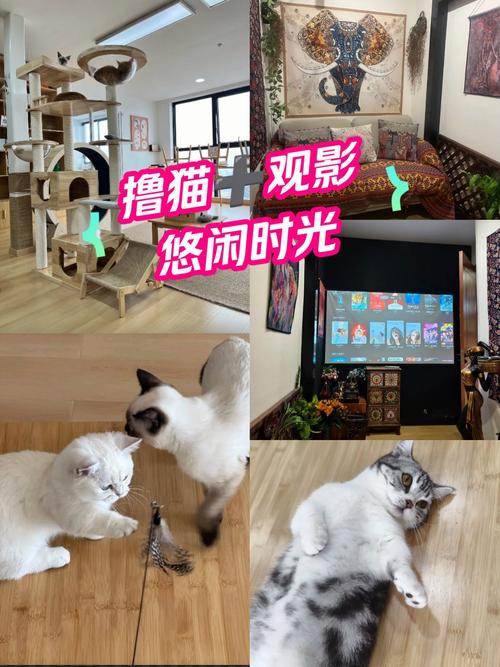 四方影院的相关介绍