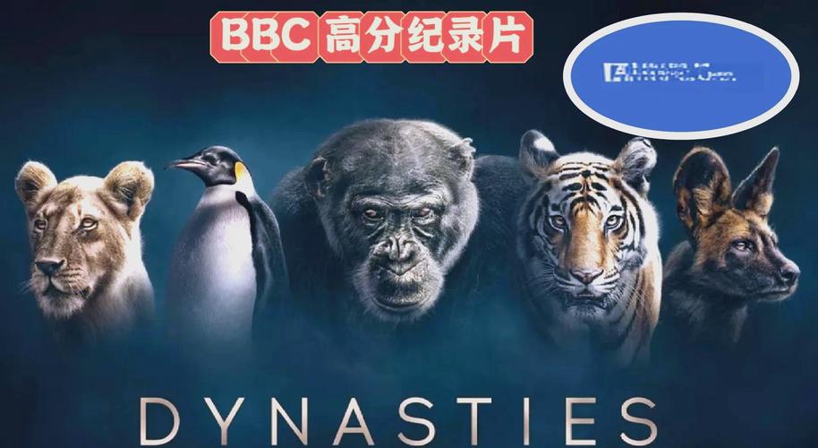 yy4080高清影院免费在线观看，最新大片高清流畅无广告