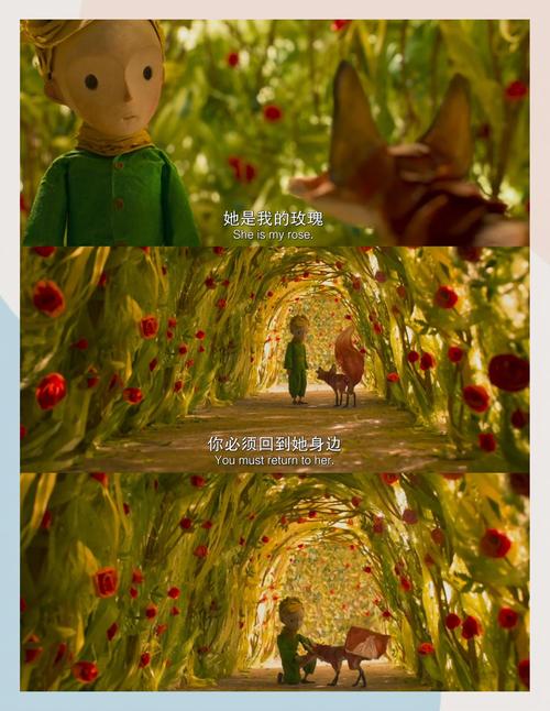 亚洲少妇中出一区的相关介绍
