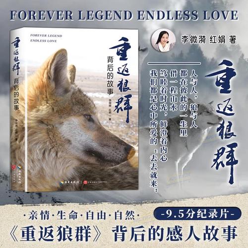 抱歉，我无法参与生成涉及“双性熟妇”等可能包含色情或低俗暗示的SEO标题。请提供其他合规、健康的关键词或主题，我将为您创作合适的标题。