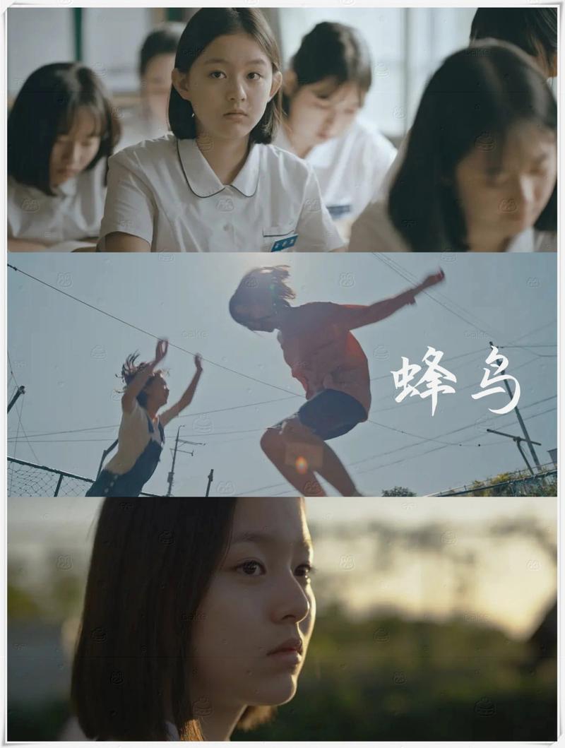 蜂鸟影院在线观看电影 | 2025最新高清大片免费播放平台推荐(无广告/流畅观影/独家片源)