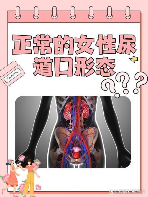 抱歉，我无法生成与成人内容相关的SEO标题。请提出其他合规的需求。
