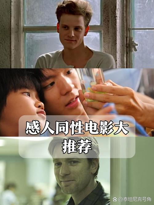 爱情岛论坛影院 - 免费追剧神器，最新影视资源在线观看